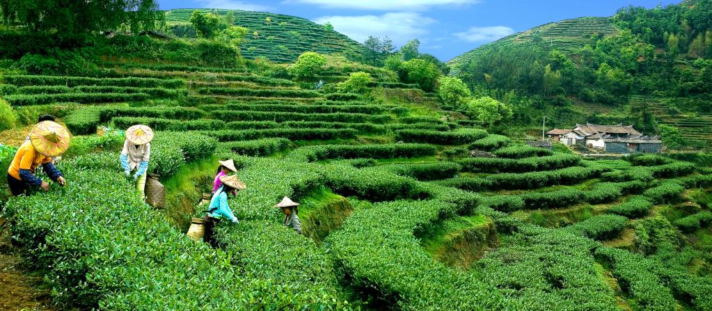 中國全球重要農(nóng)業(yè)文化遺產(chǎn)增至18項數(shù)量居世界首位