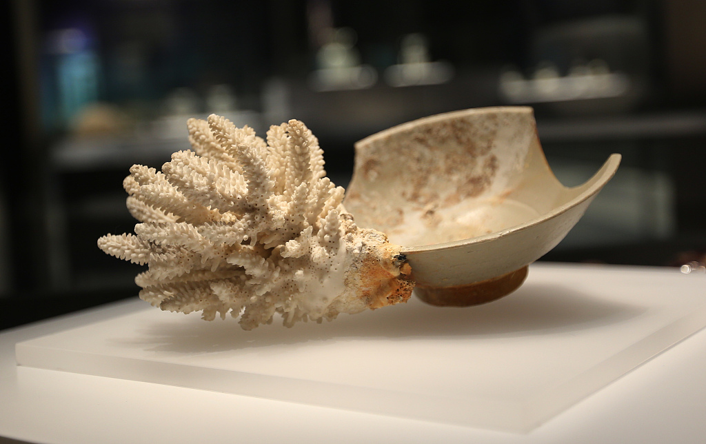 南海发现——西沙华光礁Ⅰ号沉船_fororder_海南省博物馆展出在西沙华光礁出水的青白釉瓷碗与珊蝴胶结块（南宋）