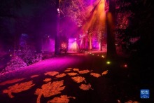 比利時：浪漫燈光秀“點亮”城堡花園