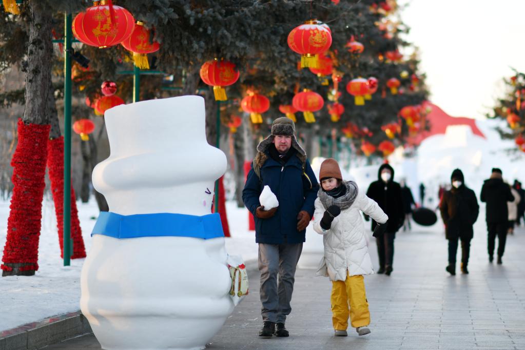 冰雪热、服务暖、信心强：黑龙江省旅游市场复苏一线观察