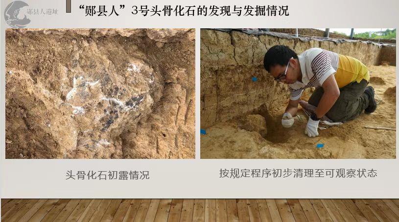 国家文物局：距今百万年头骨化石实证中国百万年人类史