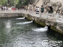 “台青黄河游记”：观泉水、游明湖、访文庙 台湾青年探寻大明湖畔夏雨荷
