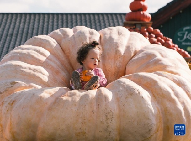 9月12日，在德国洛马尔传统南瓜节上，一名儿童在一个巨型南瓜上留影。新华社发（唐颖 摄）
