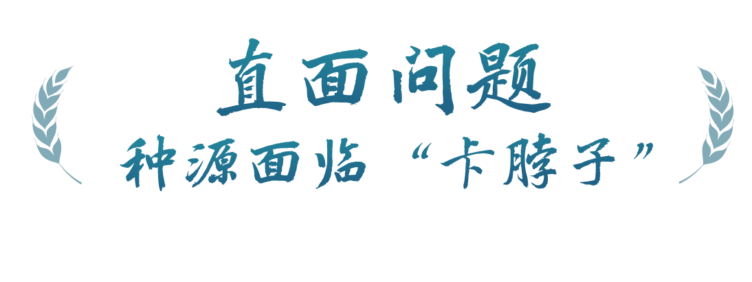 春事看農(nóng)桑丨播下好種子，豐收有底氣