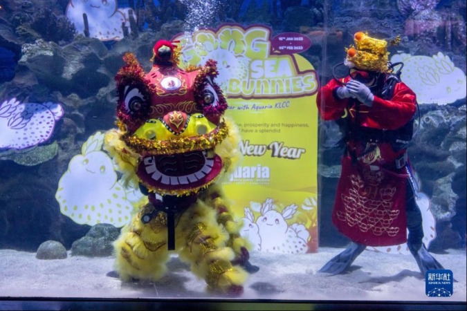 1月18日，潜水员在马来西亚吉隆坡城中城水族馆进行水中舞狮和“财神”拜年表演。新华社记者 朱炜 摄