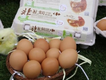 如果雞蛋能從大陸運到臺灣