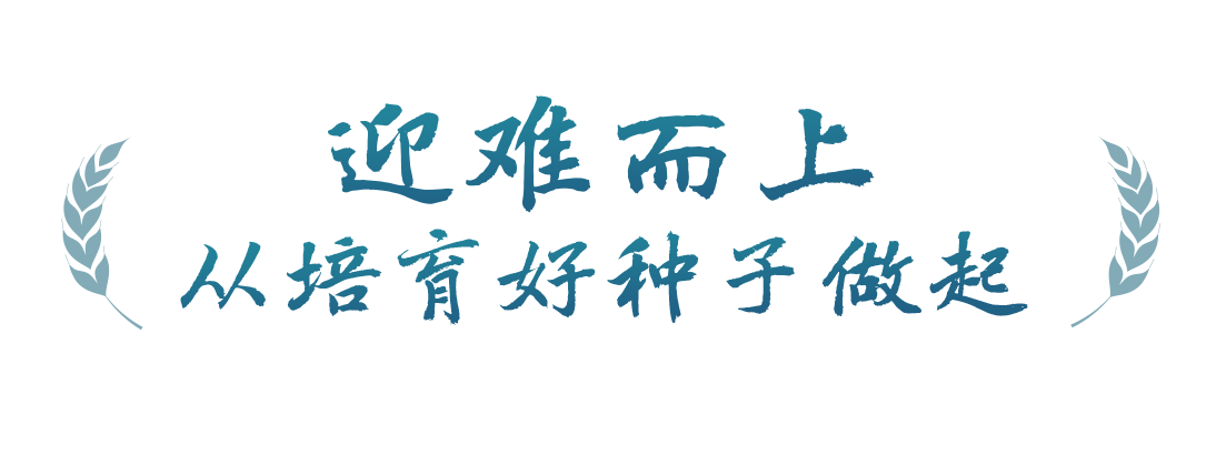 春事看農(nóng)桑丨播下好種子，豐收有底氣