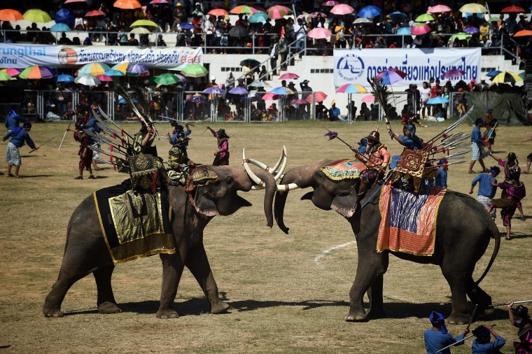 大象节：人与象一年一度的亲密接触