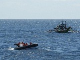 菲指责中国渔民在黄岩岛使用氰化物，外交部回应：无中生有！