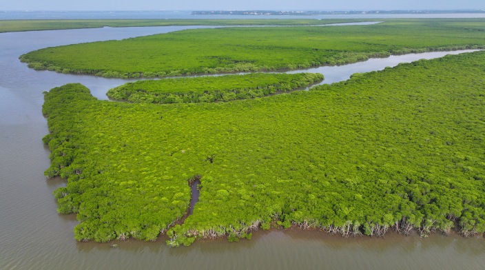 你守护海岸，我们保护你！_fororder_DJI_20230523162659_0066_D.JPG