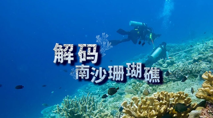 纪实片《解码南沙珊瑚礁》走过52座南沙岛礁的科学家，还原真实的南沙珊瑚礁世界