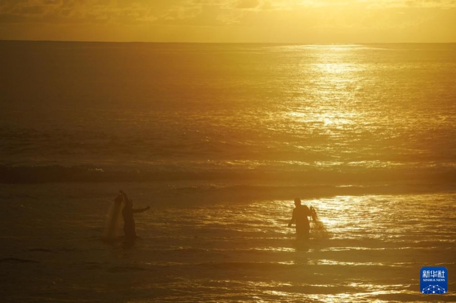 1月18日，在瑙鲁国际机场附近的海边，几名男子使用渔网捕获海产品。新华社记者 王申 摄