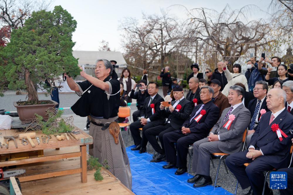 中日盆栽水石展在京都清水寺举办