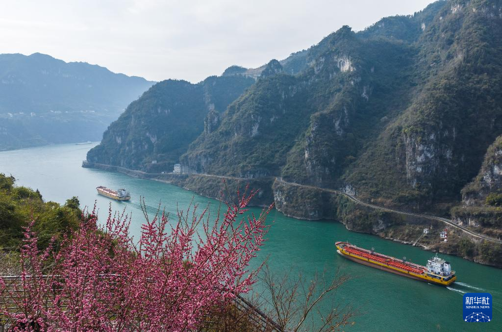 莺鸣一两啭，花树数重开