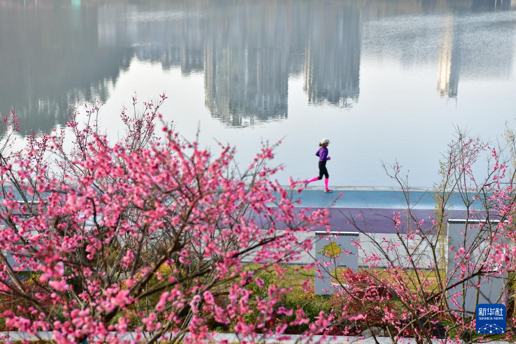 莺鸣一两啭，花树数重开