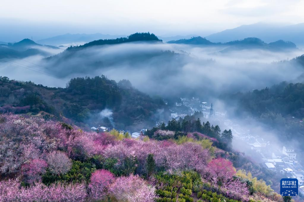 莺鸣一两啭，花树数重开