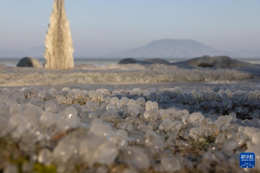 这是1月10日在匈牙利巴拉顿费尼韦斯拍摄的巴拉顿湖岸的冰珠。新华社发（弗尔季·奥蒂洛摄）