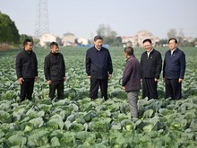 习近平在湖北考察调研