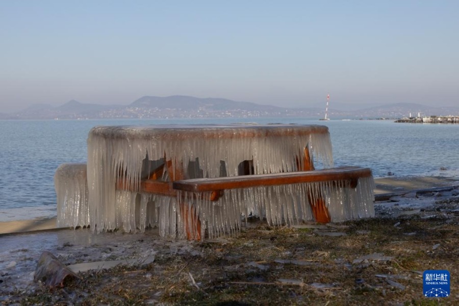 这是1月10日在匈牙利巴拉顿费尼韦斯拍摄的巴拉顿湖岸的冰柱。新华社发（弗尔季·奥蒂洛摄）