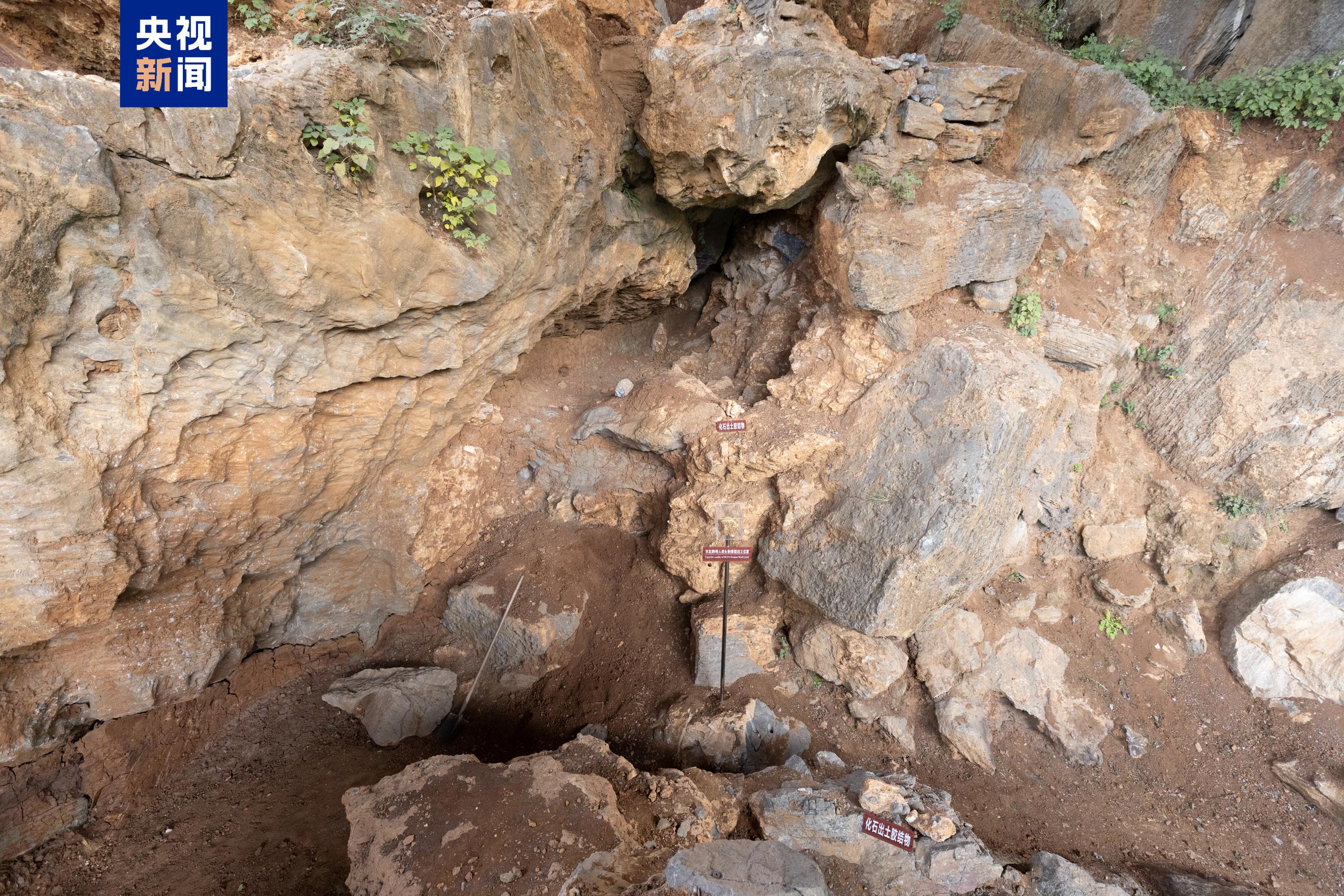 距今约30万年 华龙洞人被证实为东亚地区向智人演化的最早古人类