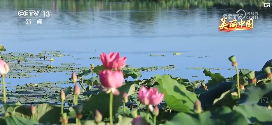 山清水秀引客来 绿水青山生态愿景成为生活美景