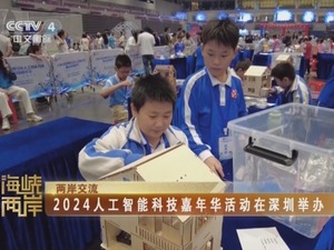 【海峡两岸】2024人工智能科技嘉年华活动在深圳举办