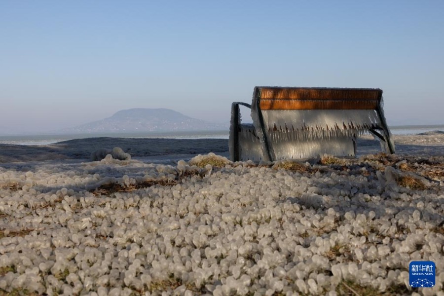 这是1月10日在匈牙利巴拉顿费尼韦斯拍摄的巴拉顿湖岸的冰珠和冰柱。新华社发（弗尔季·奥蒂洛摄）