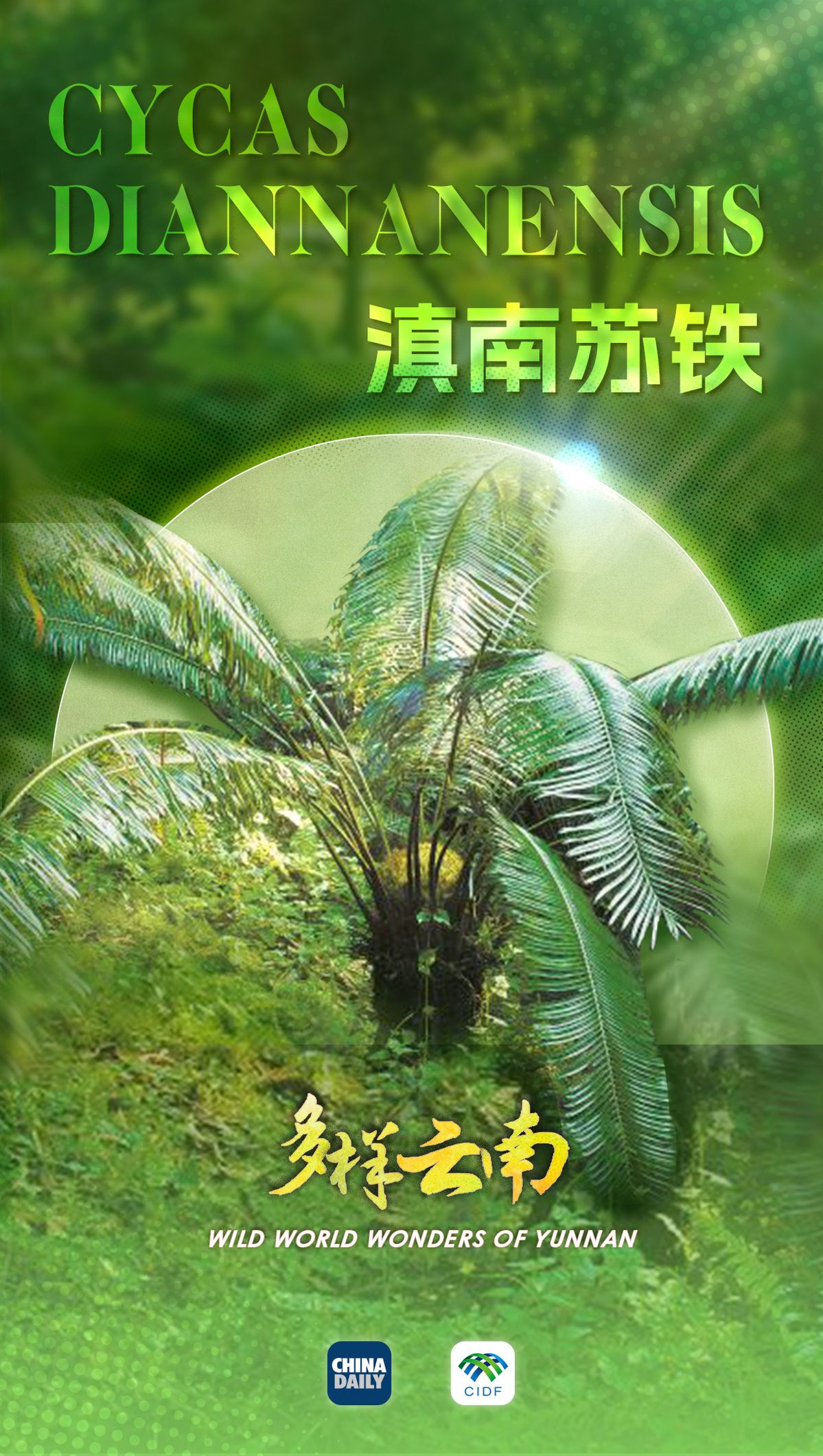 云南宝藏动植物发现之旅