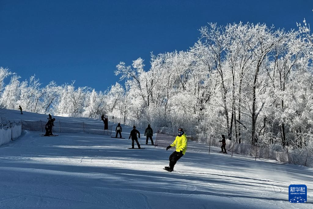 从阿尔卑斯山到长白山：“世界冰雪黄金纬度带”冰雪经济正“火热”