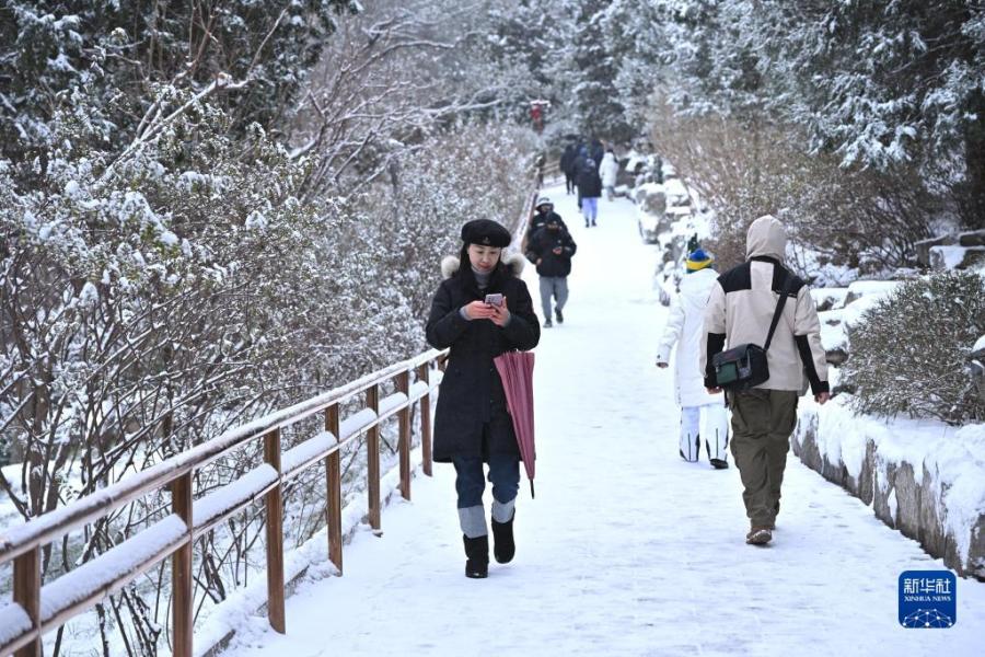 12月11日早晨，人们在景山公园游玩。