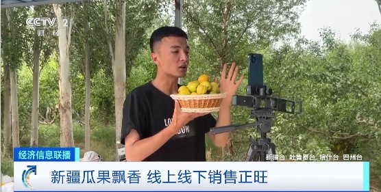 杏子 西瓜 樱桃……新疆瓜果飘香 商户抢“鲜”收购