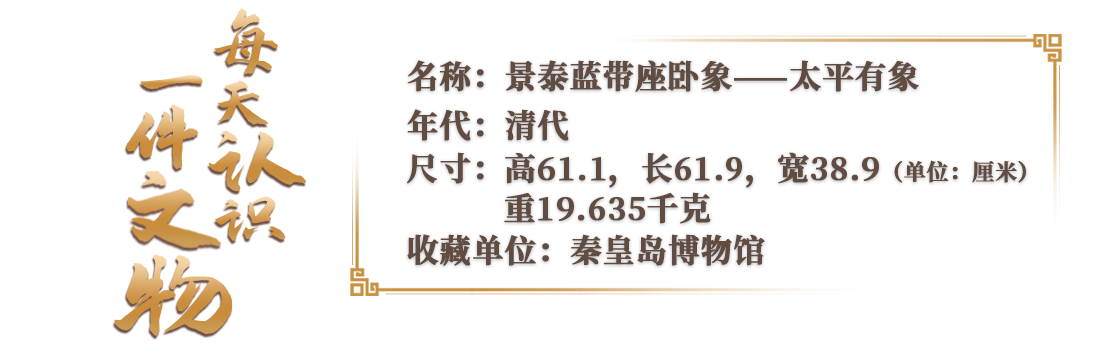 数不过来了！这头大象到底装了多少祝福啊？