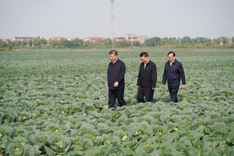 习近平在湖北考察调研