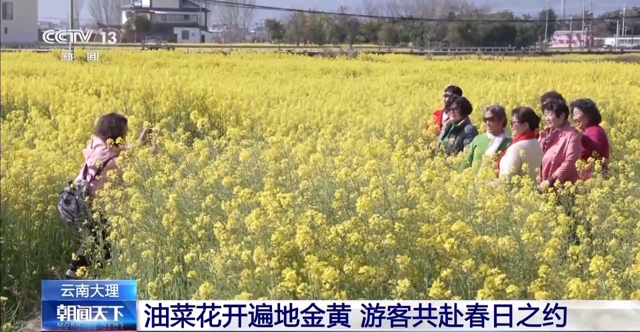 赏花去！开启一场与“春日经济”的“双向奔赴”