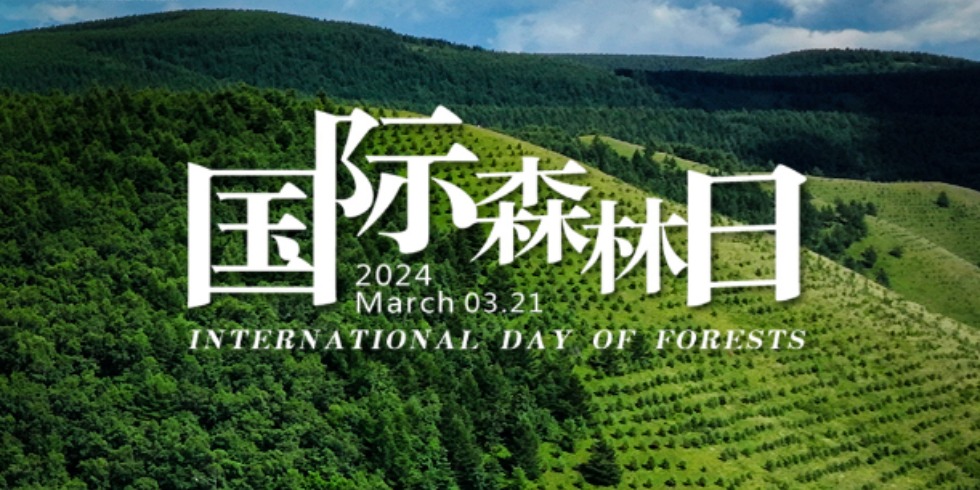 国际森林日︱“森林与创新” 创造更美新世界