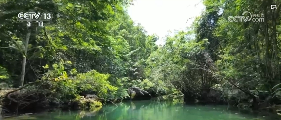 山清水秀引客来 绿水青山生态愿景成为生活美景