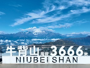 瞰川西｜壮美牛背山：云海之上，一览众山风采