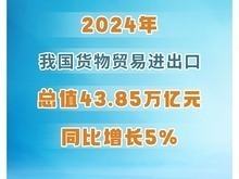 同比增长5%！2024年中国货物贸易进出口总值43.85万亿元