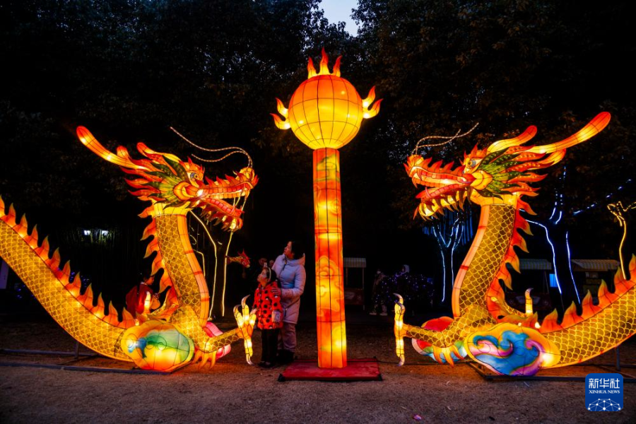 2月7日，人们在江苏省泰州市姜堰区人民公园新春灯会上赏灯。新华社发（汤德宏 摄）