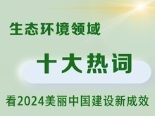 生态环境领域十大热词看2024美丽中国建设新成效