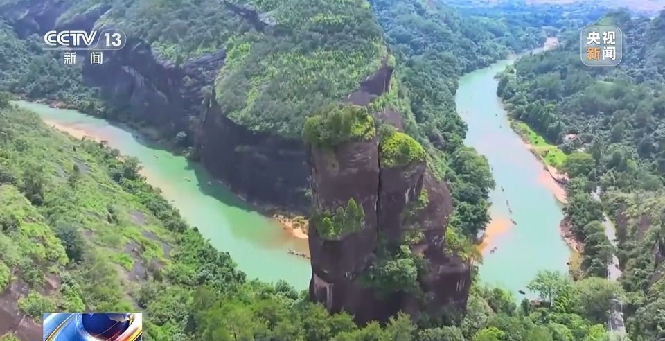 赏茶、观景、游古建……武夷山真的太全面了！