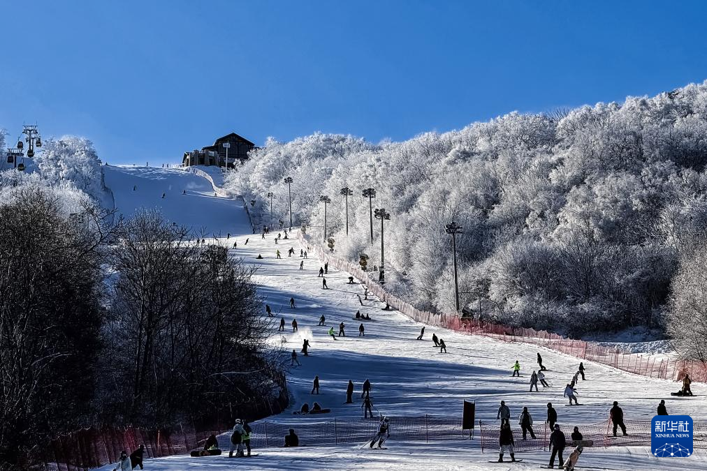 从阿尔卑斯山到长白山：“世界冰雪黄金纬度带”冰雪经济正“火热”