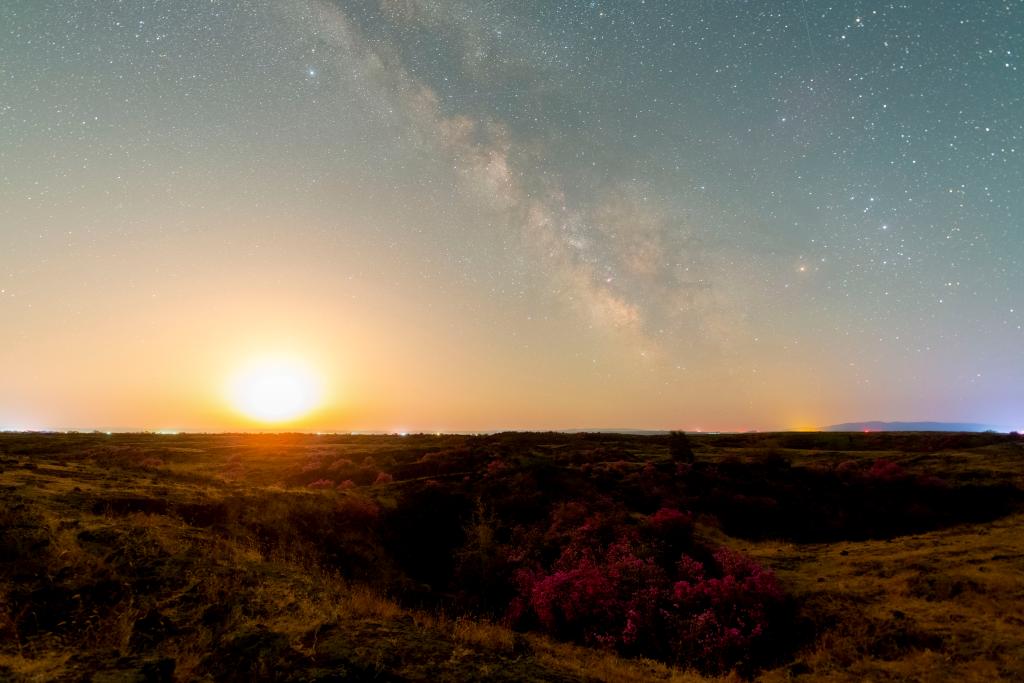 花语星空：一场星与花的对话