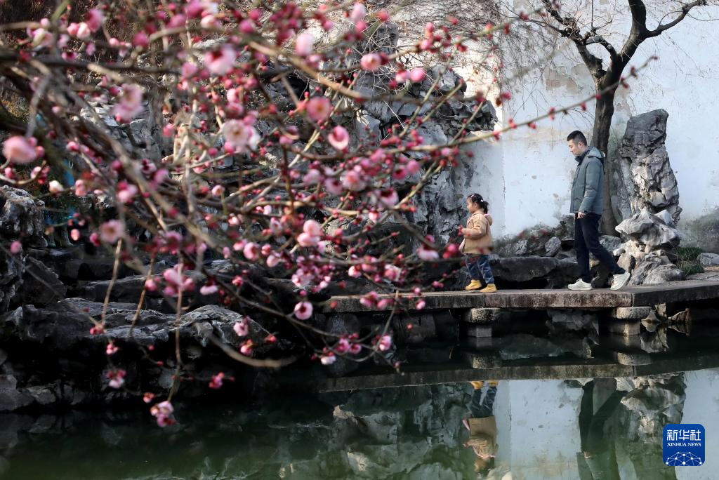 莺鸣一两啭，花树数重开