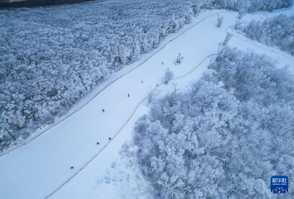 从阿尔卑斯山到长白山：“世界冰雪黄金纬度带”冰雪经济正“火热”