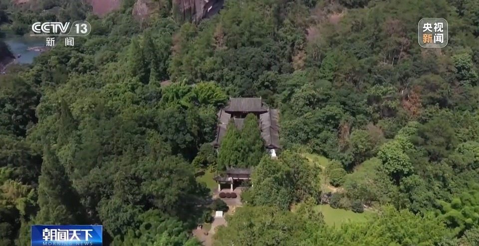 赏茶、观景、游古建……武夷山真的太全面了！