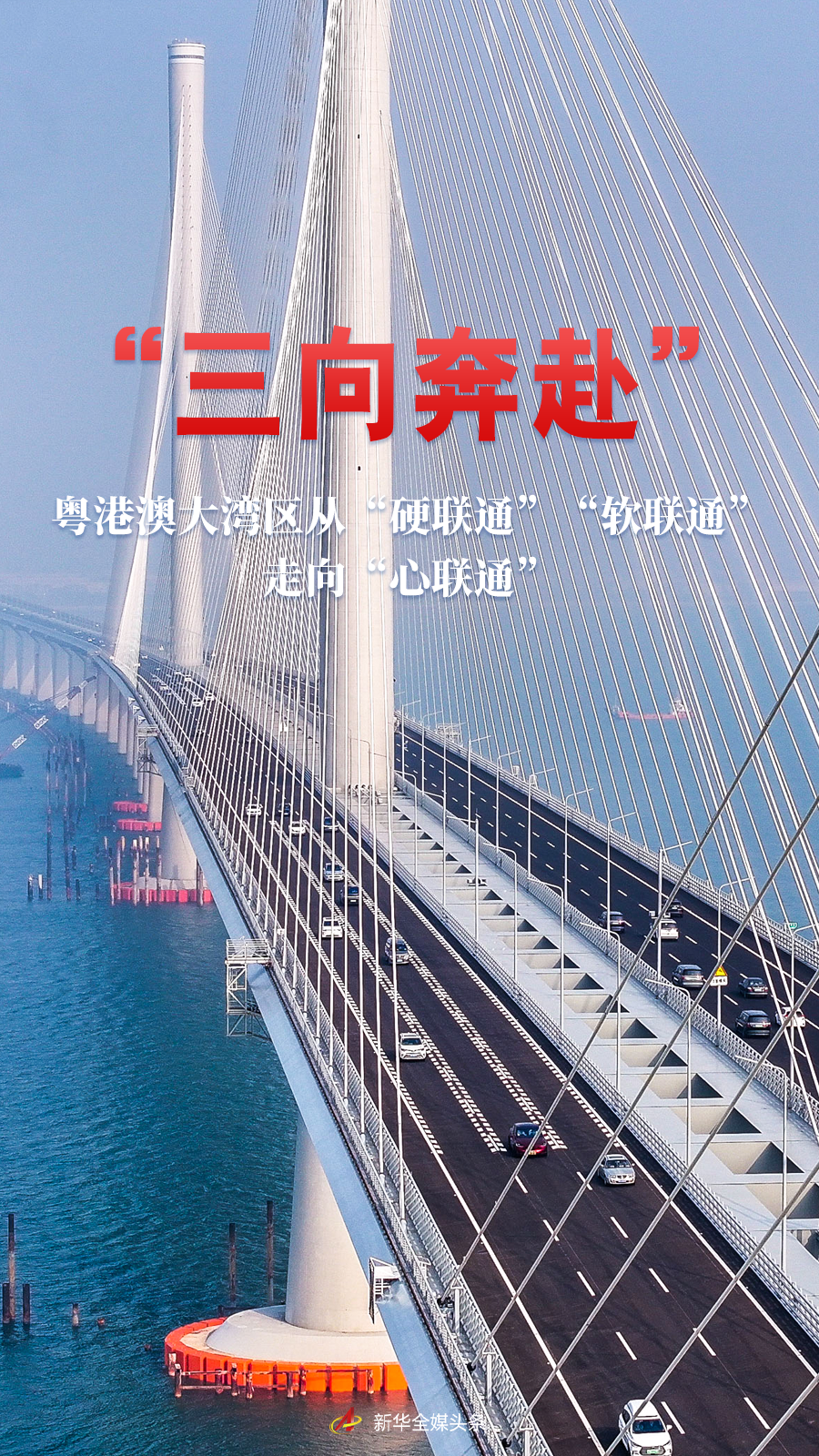 “三向奔赴”——粤港澳大湾区从“硬联通”“软联通”走向“心联通”