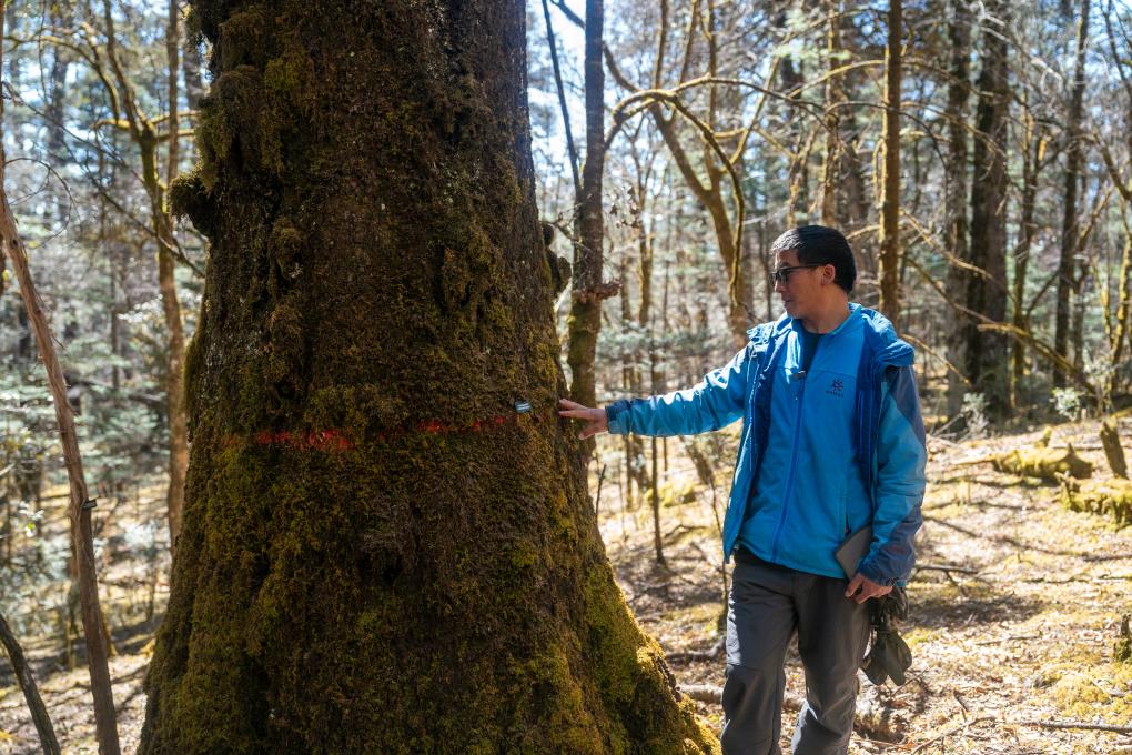 从雪山到森林，中国科学家保护生物多样性“天堂”