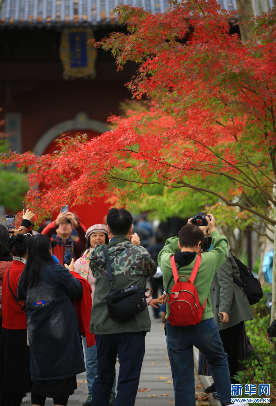 南京栖霞山：赏枫正当时