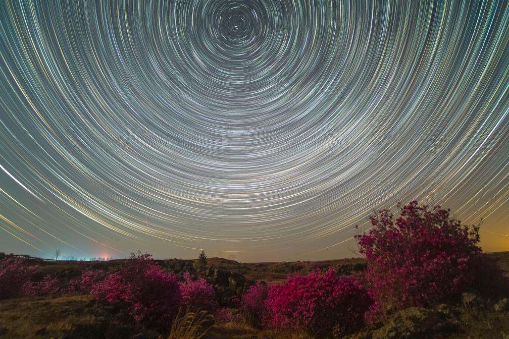 花语星空：一场星与花的对话